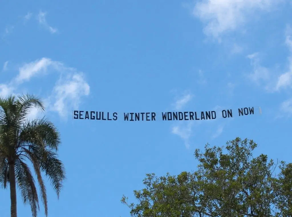 seagulls-aerial-advertising