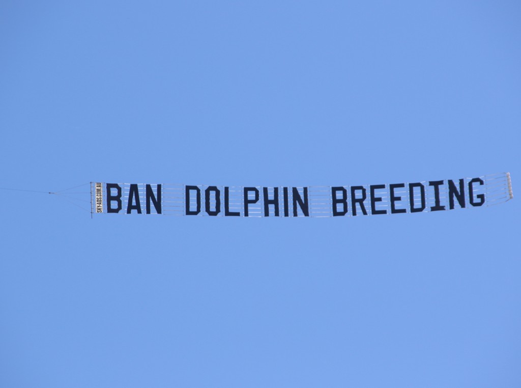 Black banner in a clear blue sky reads "Ban Dolphin Breeding"