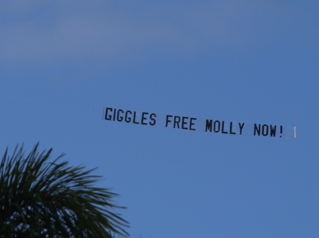 Sky Banner reads "Giggles Free Molly Now!"